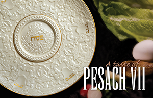 A Taste of Pesach VII