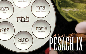 A Taste of Pesach IX