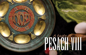 A Taste of Pesach VIII